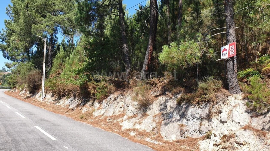 Terreno para Venda em Penhalonga e Paços de Gaiolo