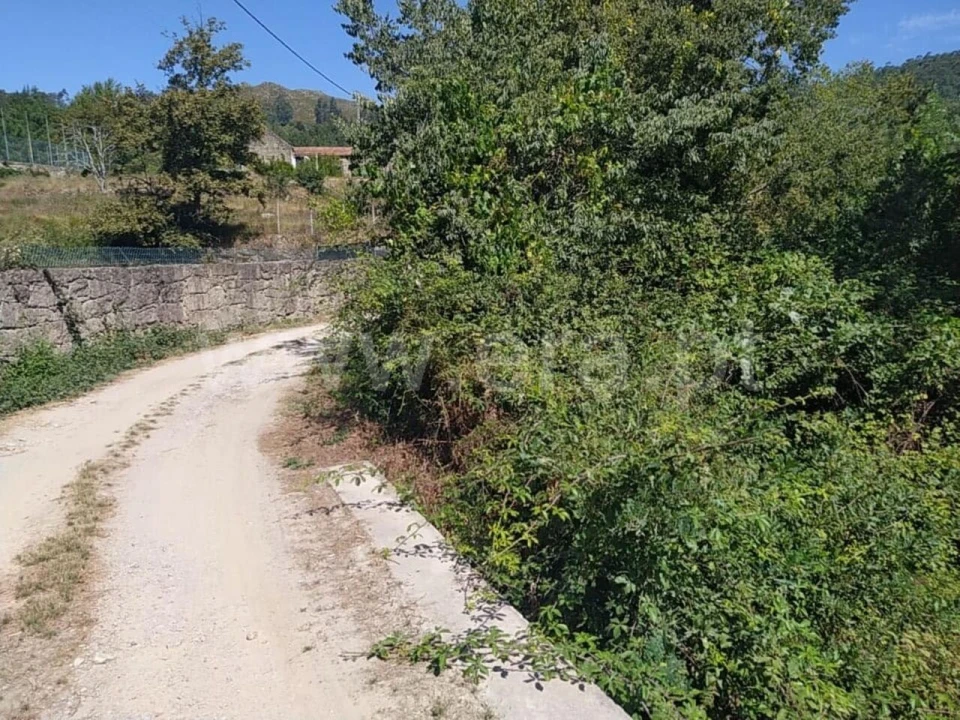 Terreno para Venda em Sande e São Lourenço Foto 7