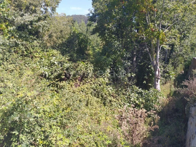 Terreno para Venda em Sande e São Lourenço Foto 8