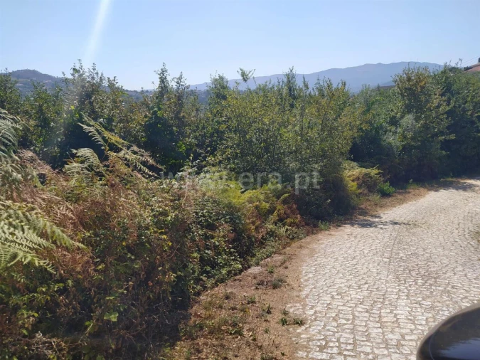 Terreno para Venda em Sande e São Lourenço Foto 9