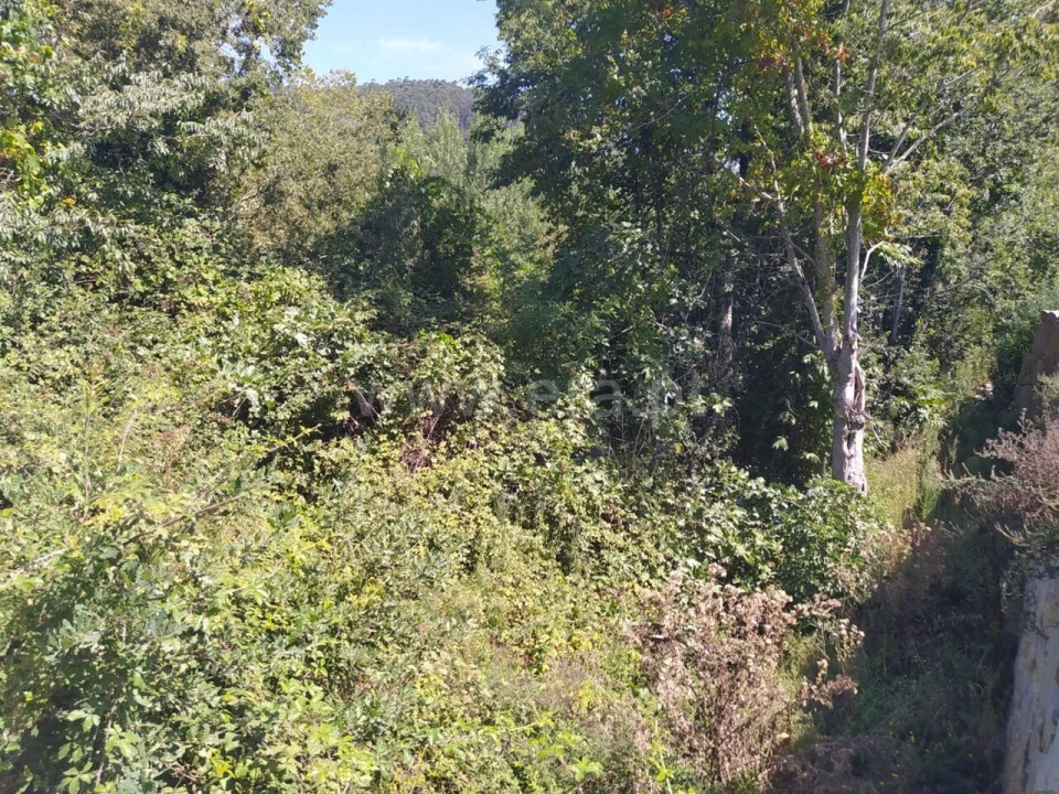 Terreno para Venda em Sande e São Lourenço Foto 8