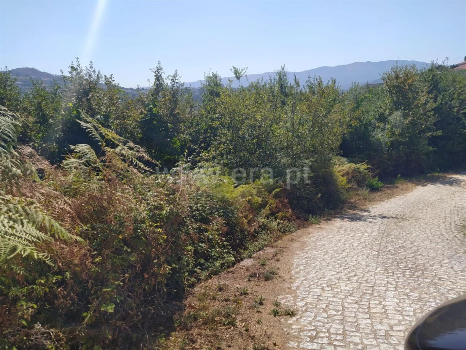 Terreno para Venda em Sande e São Lourenço Foto 9