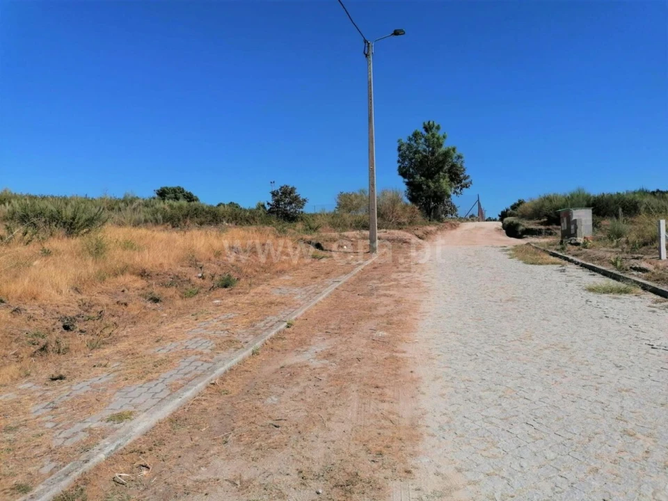Terreno para Venda em Grilo Foto 1