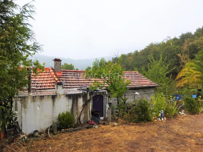 Moradia T3 para Venda em Gestaço Foto 5