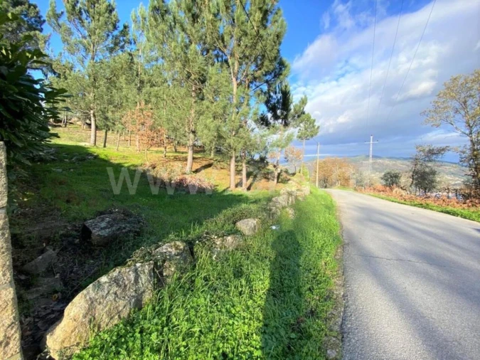 Terreno para Venda em São Cristovão de Nogueira Foto 3
