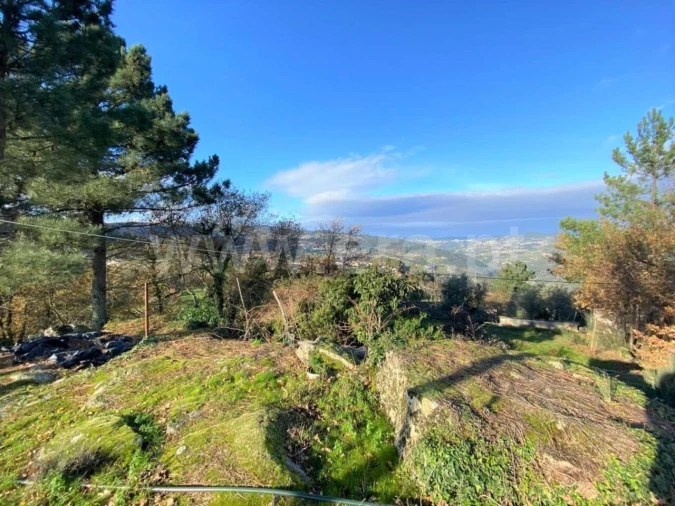 Terreno para Venda em São Cristovão de Nogueira Foto 6