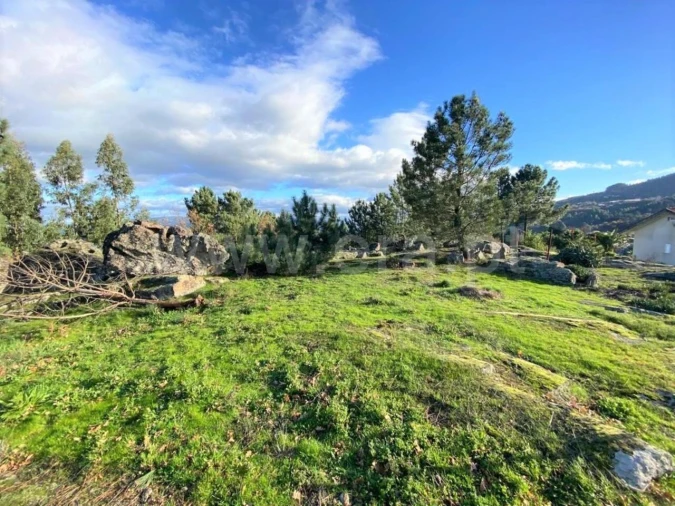 Terreno para Venda em São Cristovão de Nogueira Foto 7