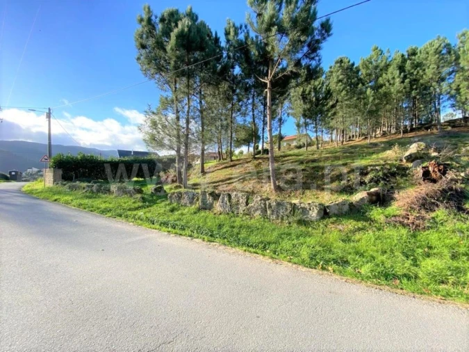 Terreno para Venda em São Cristovão de Nogueira Foto 1