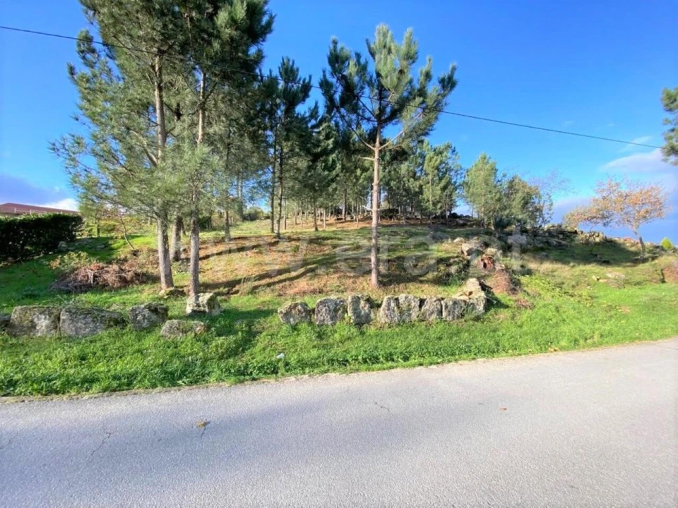 Terreno para Venda em São Cristovão de Nogueira Foto 2