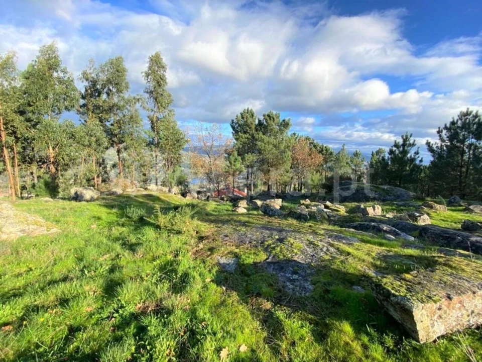 Terreno para Venda em São Cristovão de Nogueira Foto 4