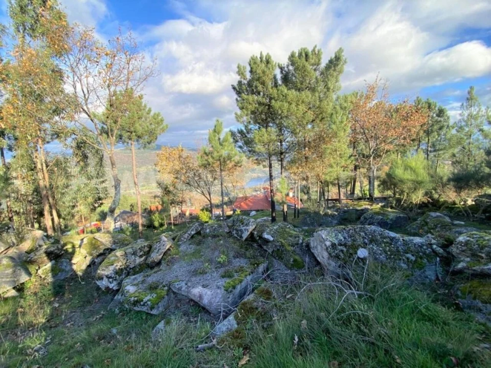 Terreno para Venda em São Cristovão de Nogueira Foto 5
