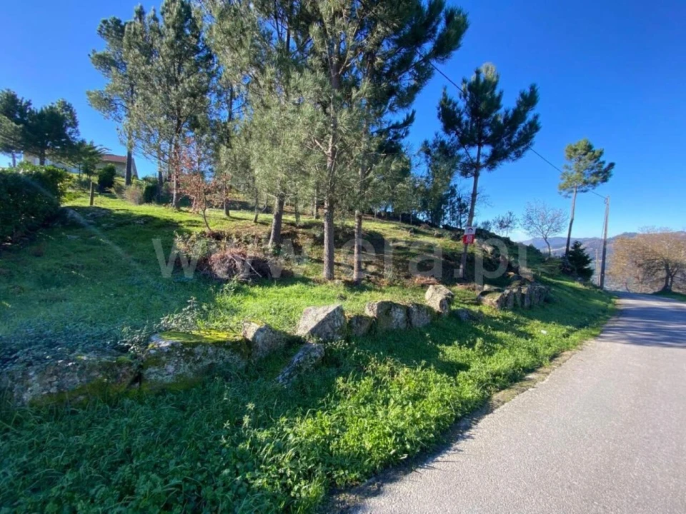 Terreno para Venda em São Cristovão de Nogueira Foto 8