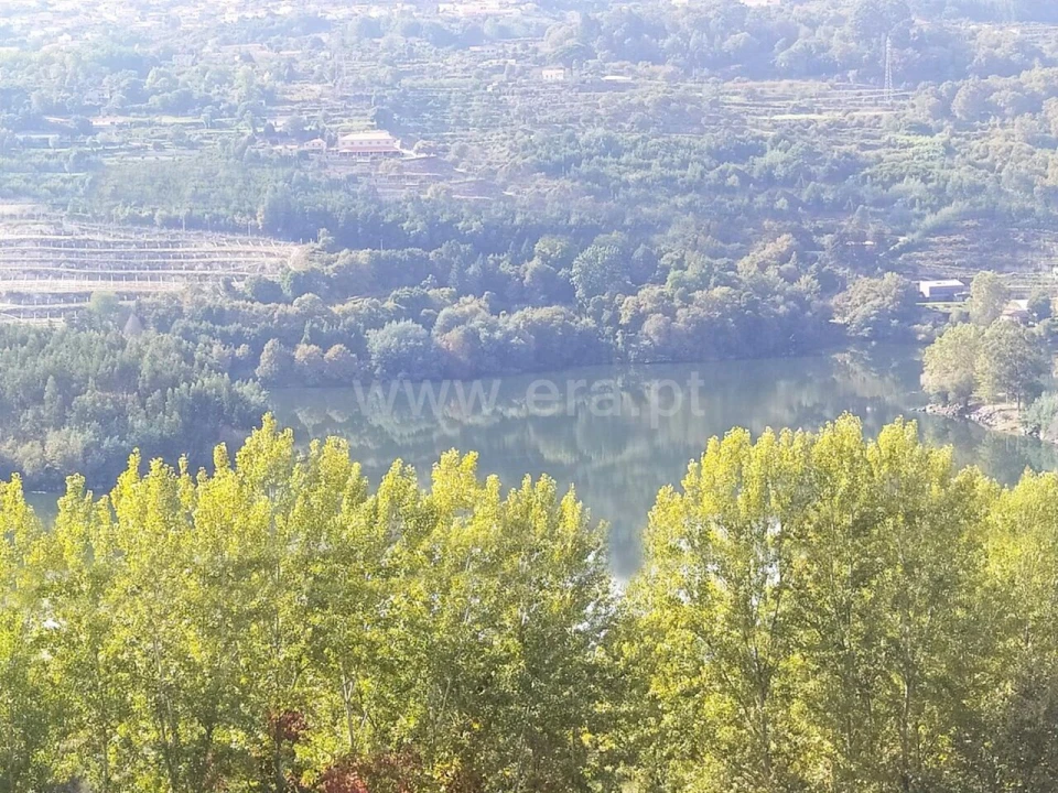 Terreno para Venda em Vila Boa do Bispo Foto 8