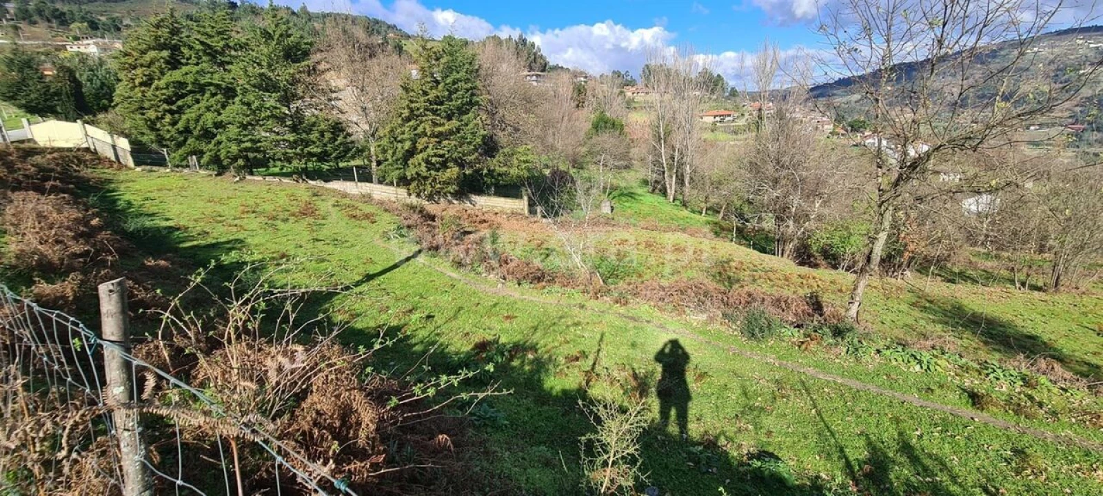 Quinta T0 para Venda em Penhalonga e Paços de Gaiolo Foto 16