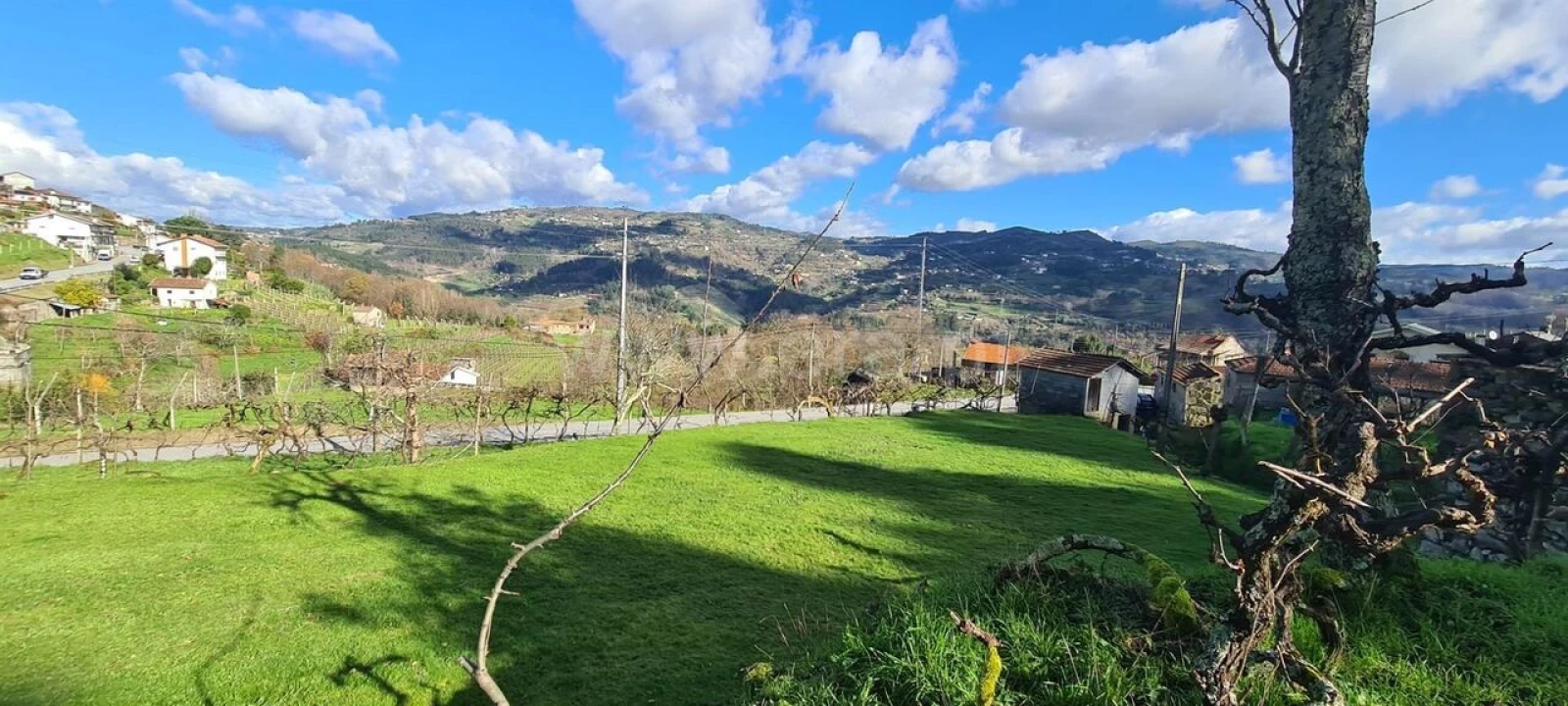 Quinta T0 para Venda em Penhalonga e Paços de Gaiolo Foto 18