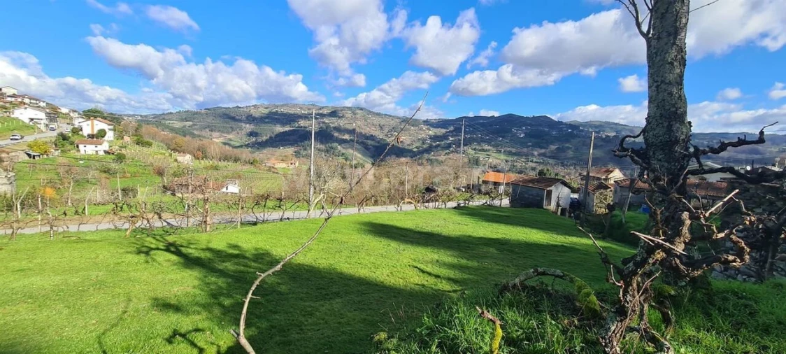Quinta T0 para Venda em Penhalonga e Paços de Gaiolo Foto 18
