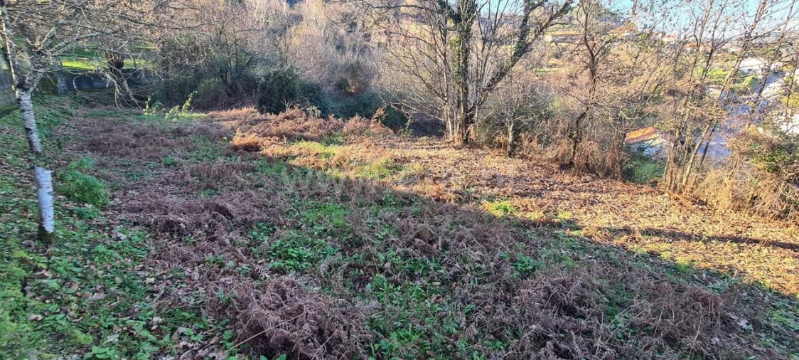 Quinta T0 para Venda em Penhalonga e Paços de Gaiolo Foto 7