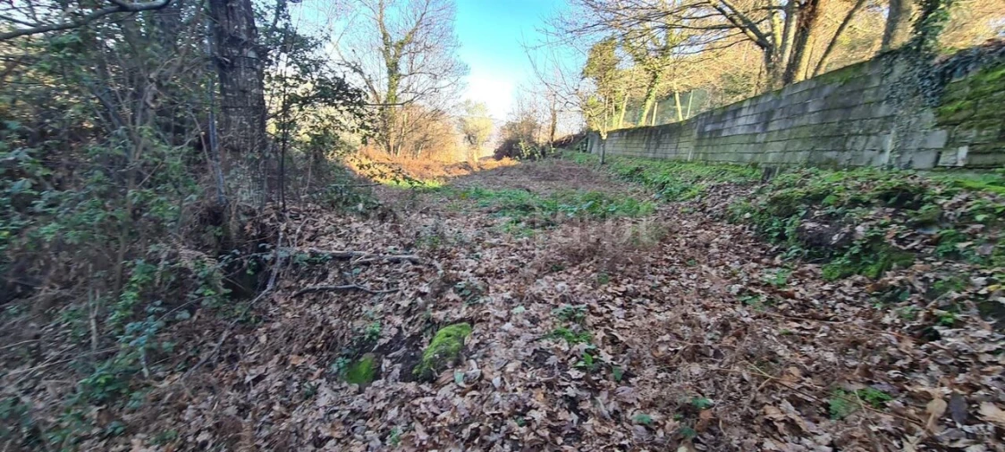Quinta T0 para Venda em Penhalonga e Paços de Gaiolo Foto 4