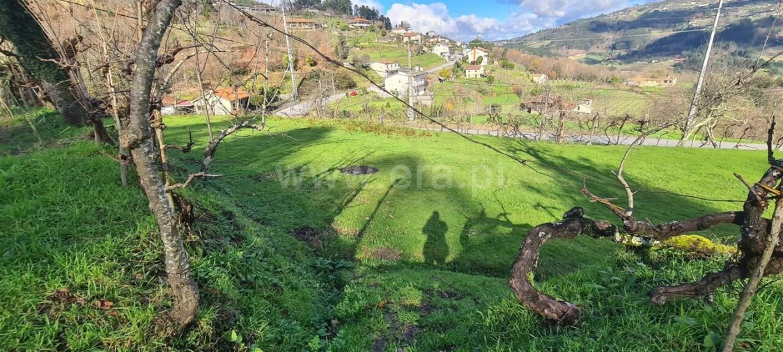 Quinta T0 para Venda em Penhalonga e Paços de Gaiolo Foto 19