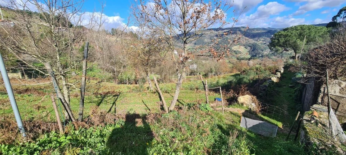 Quinta T0 para Venda em Penhalonga e Paços de Gaiolo Foto 13
