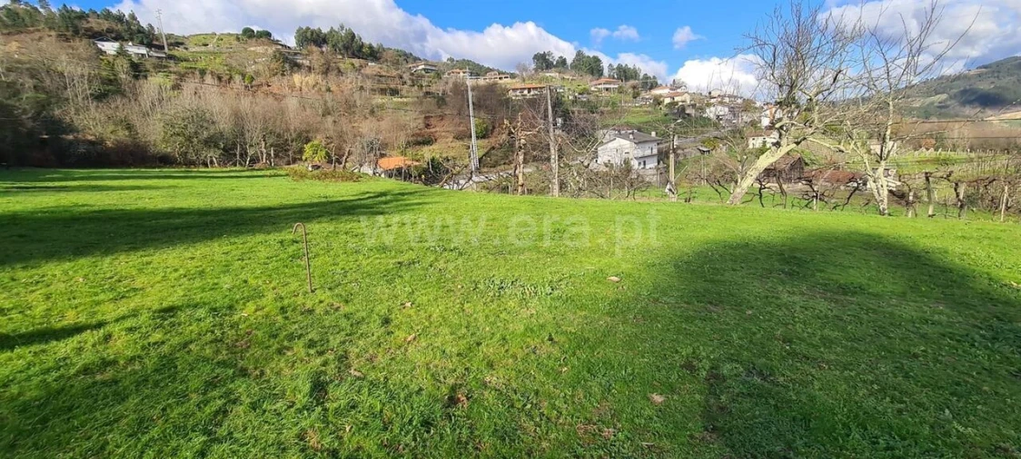 Quinta T0 para Venda em Penhalonga e Paços de Gaiolo Foto 20