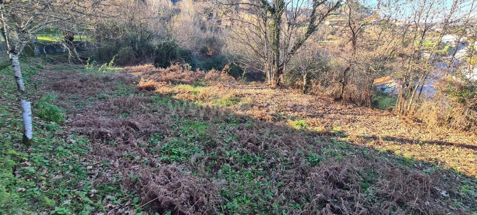 Quinta T0 para Venda em Penhalonga e Paços de Gaiolo Foto 7