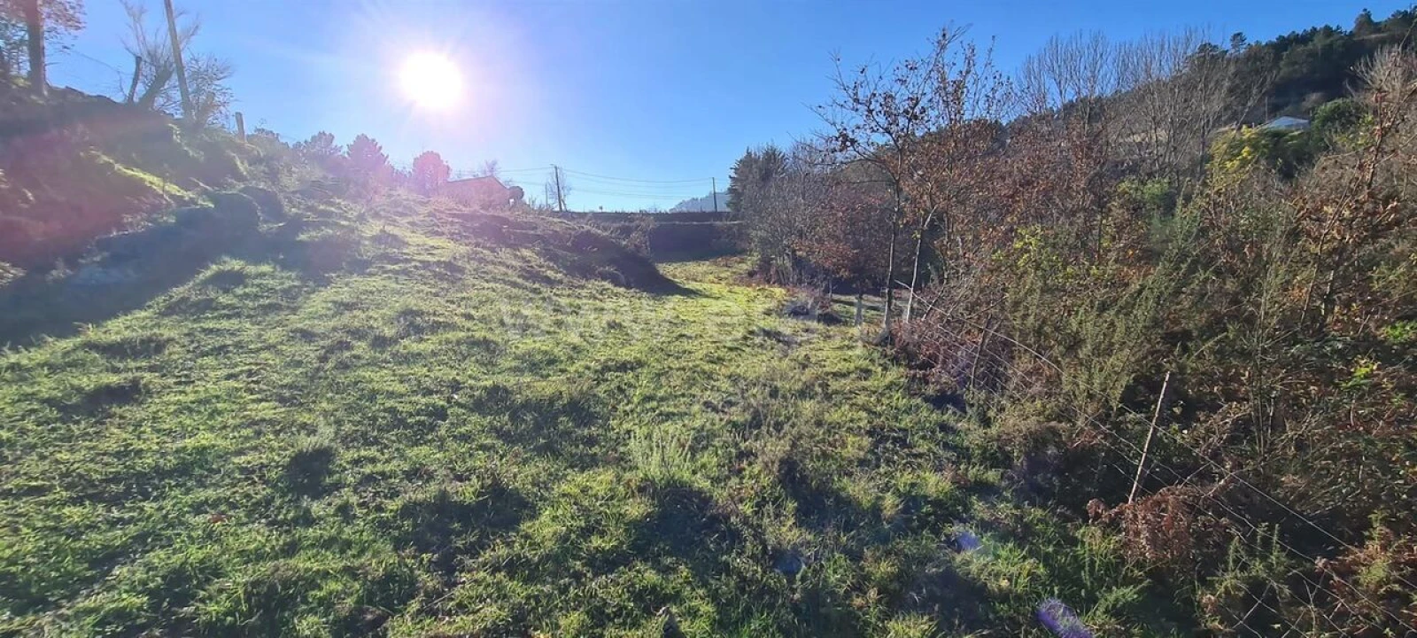Quinta T0 para Venda em Penhalonga e Paços de Gaiolo Foto 10