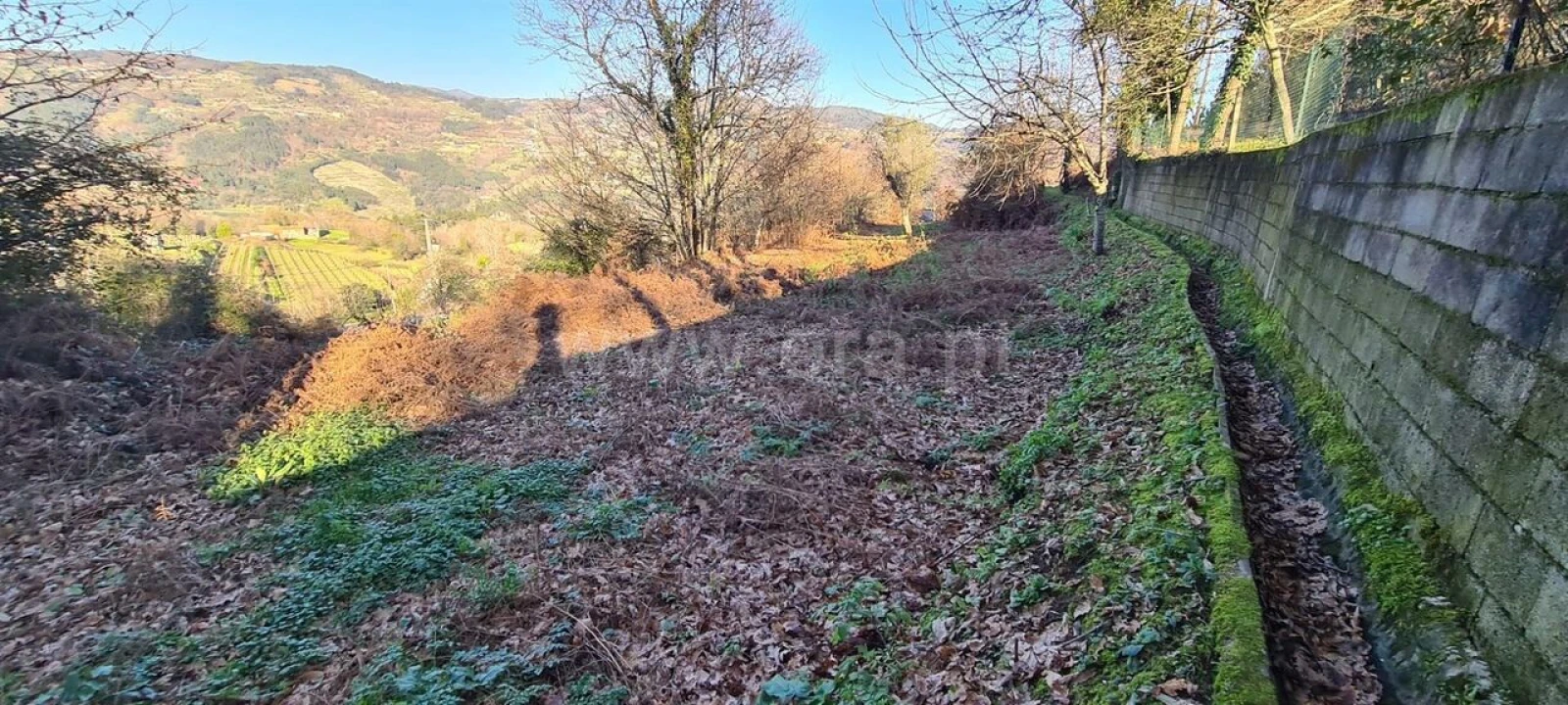 Quinta T0 para Venda em Penhalonga e Paços de Gaiolo Foto 8