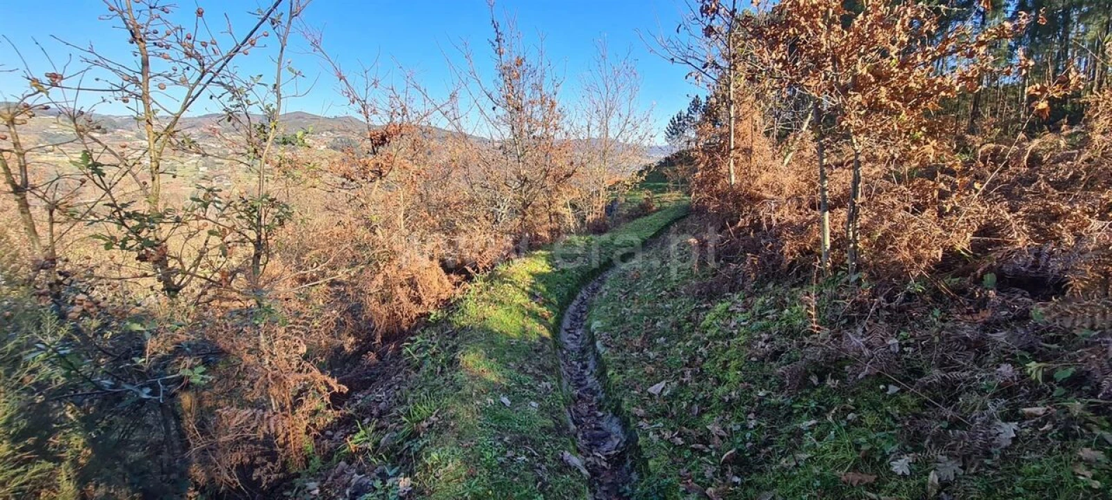 Quinta T0 para Venda em Penhalonga e Paços de Gaiolo Foto 5