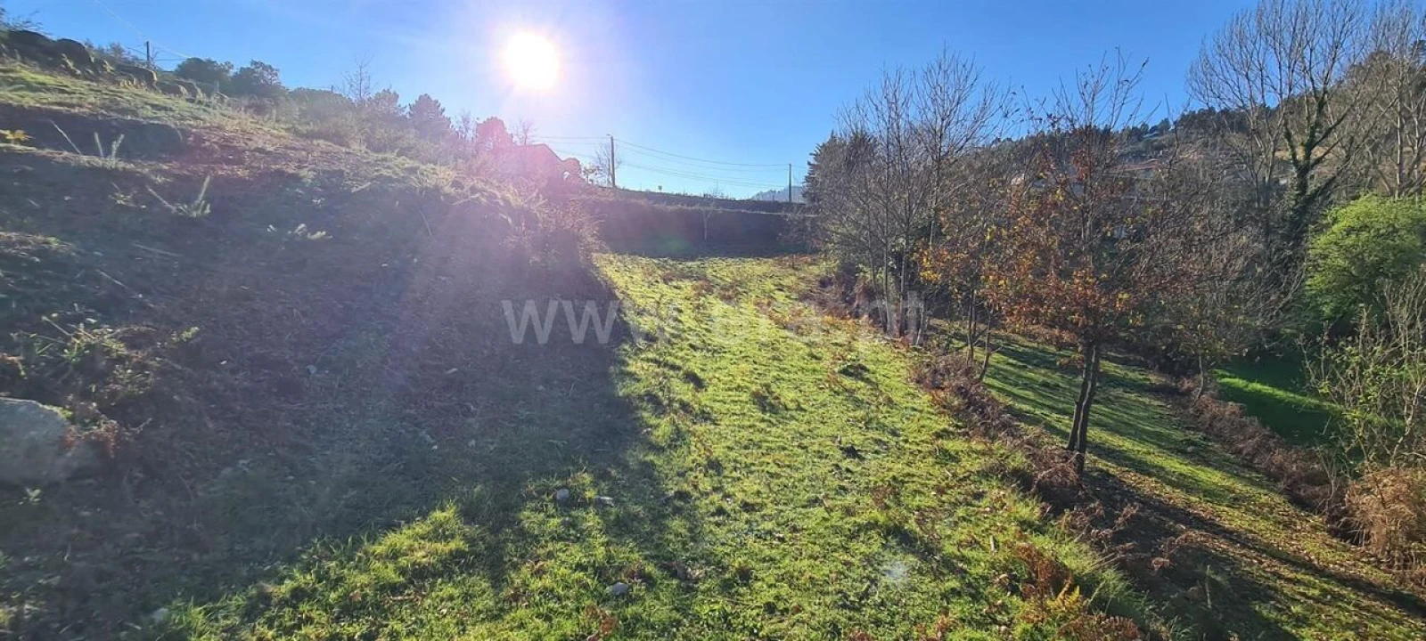 Quinta T0 para Venda em Penhalonga e Paços de Gaiolo Foto 9