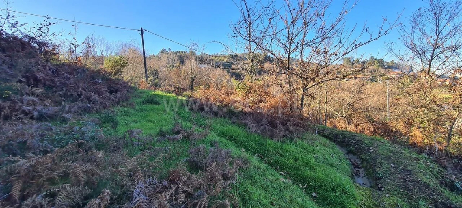 Quinta T0 para Venda em Penhalonga e Paços de Gaiolo Foto 11
