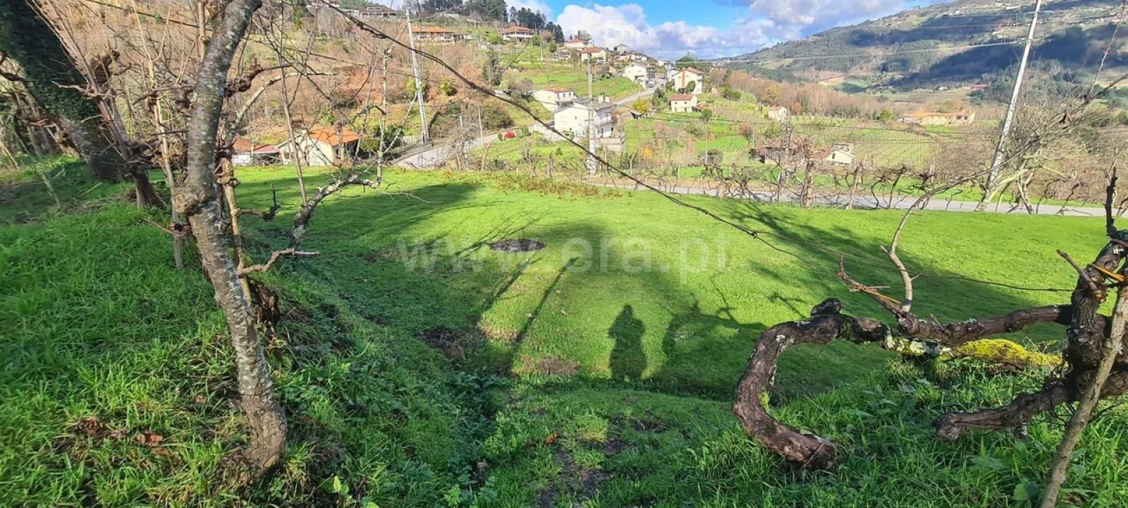 Quinta T0 para Venda em Penhalonga e Paços de Gaiolo Foto 19