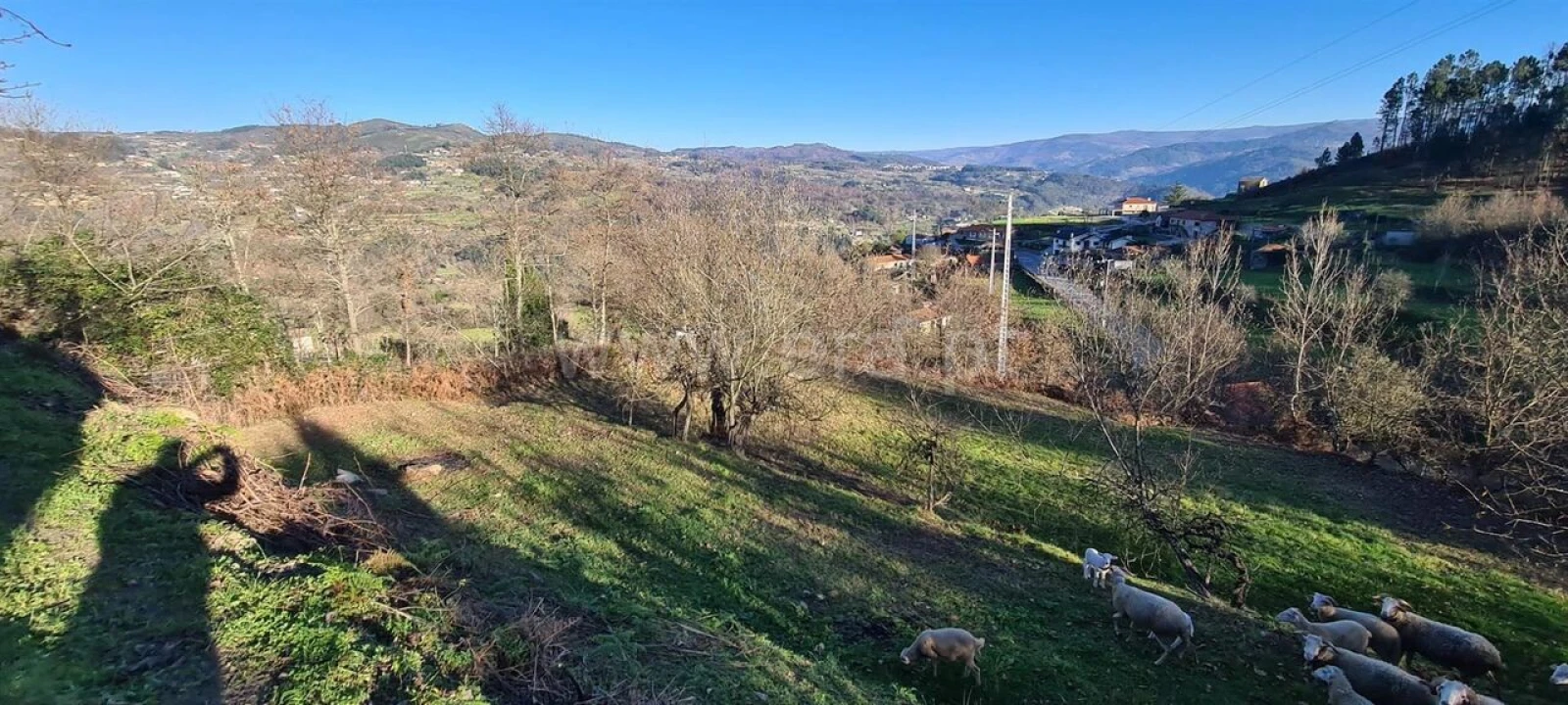 Quinta T0 para Venda em Penhalonga e Paços de Gaiolo Foto 2