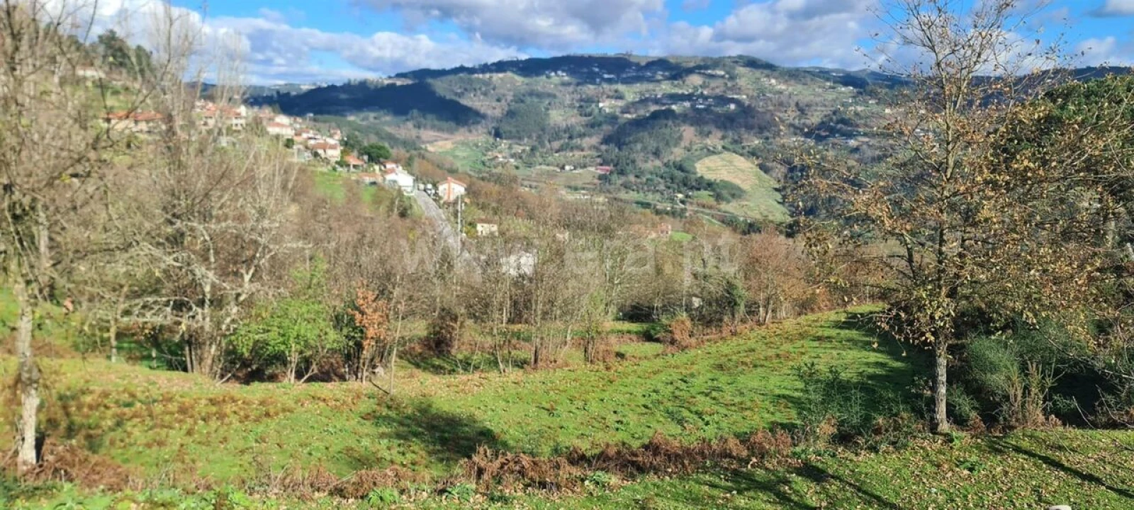 Quinta T0 para Venda em Penhalonga e Paços de Gaiolo Foto 14