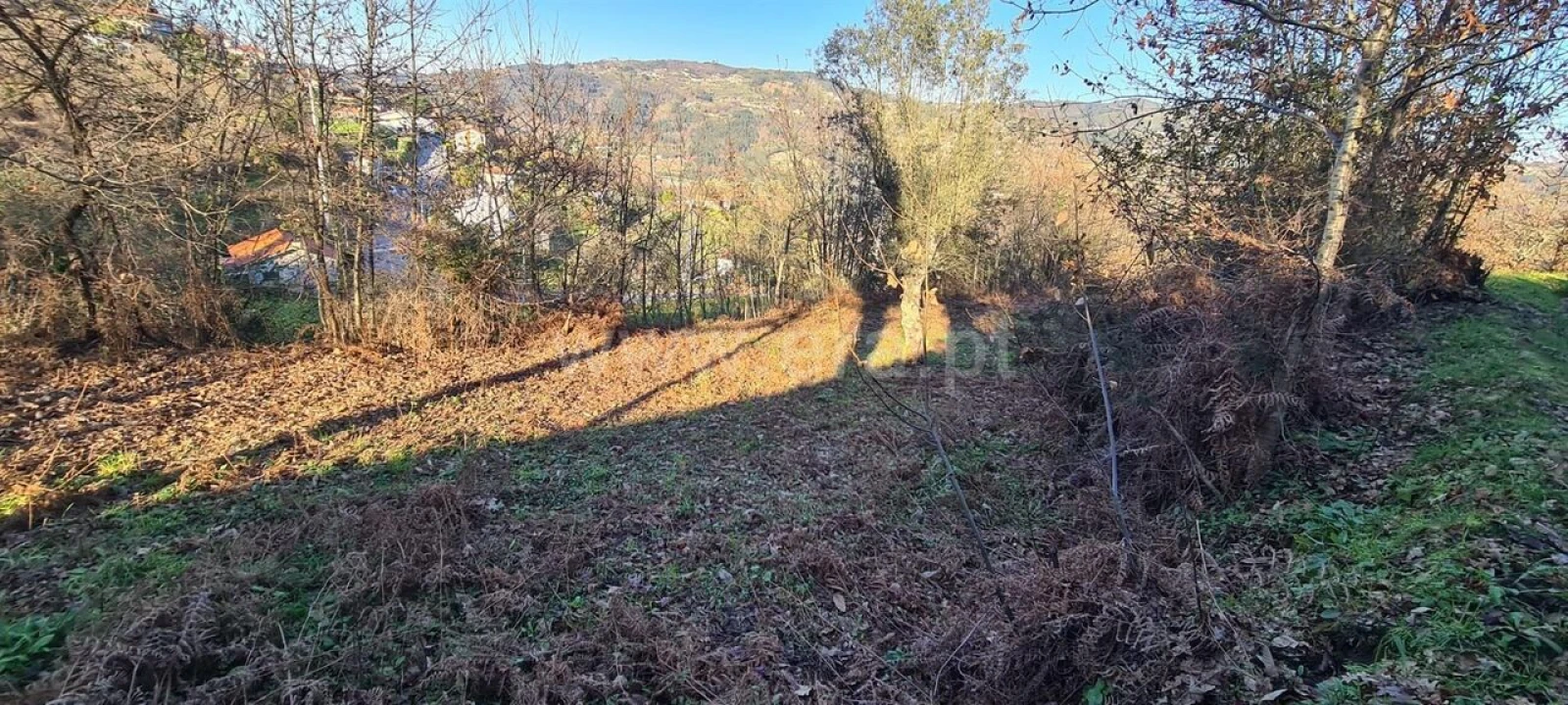 Quinta T0 para Venda em Penhalonga e Paços de Gaiolo Foto 6