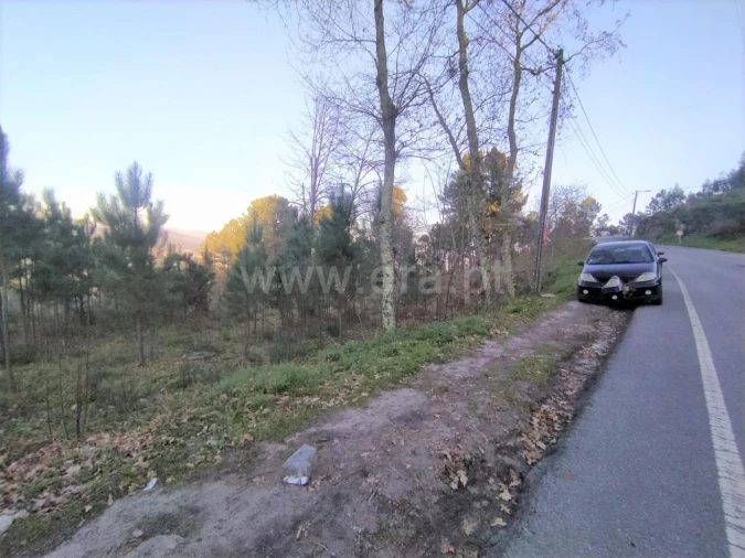 Terreno para Venda em Cinfães Foto 4