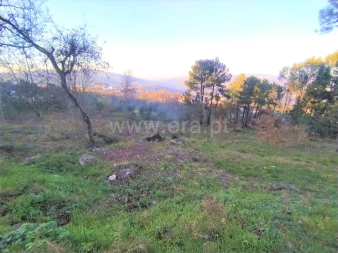 Terreno para Venda em Cinfães Foto 3