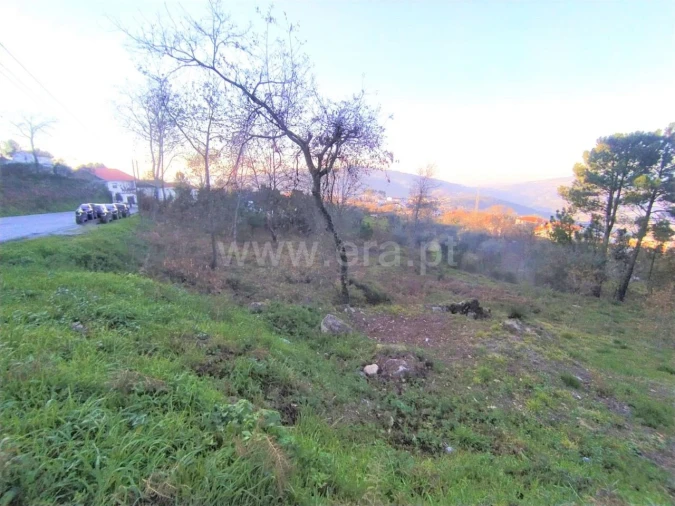 Terreno para Venda em Cinfães Foto 1
