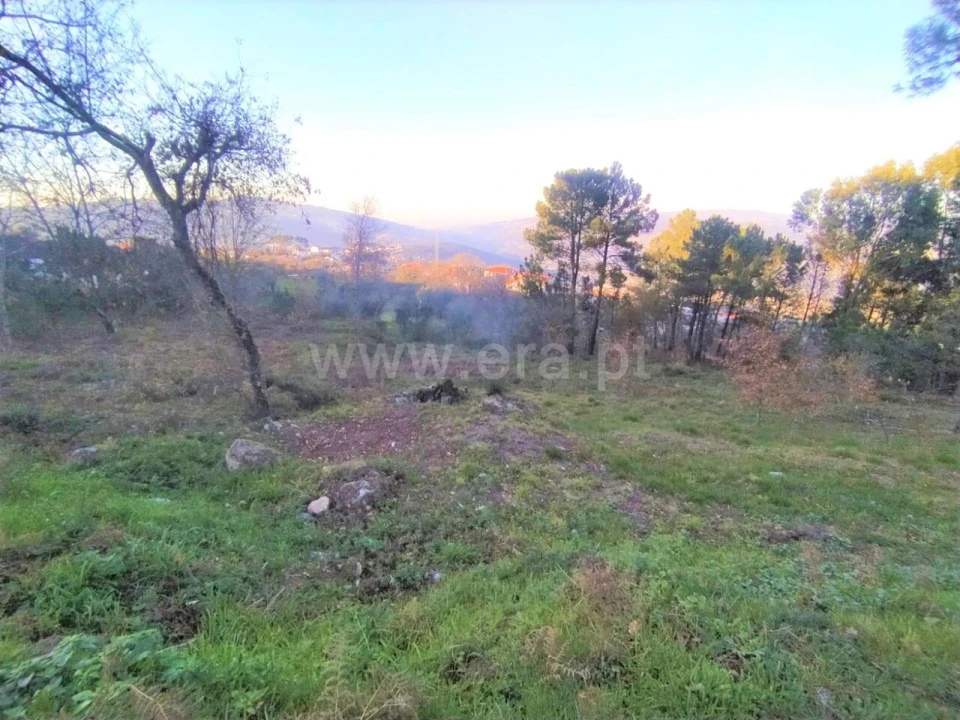 Terreno para Venda em Cinfães Foto 3