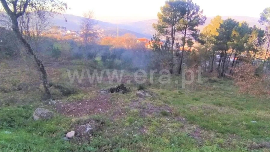Terreno para Venda em Cinfães