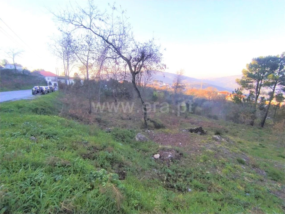 Terreno para Venda em Cinfães Foto 1