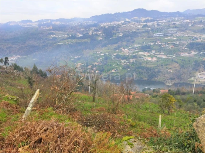 Terreno para Venda em Espadanedo Foto 5