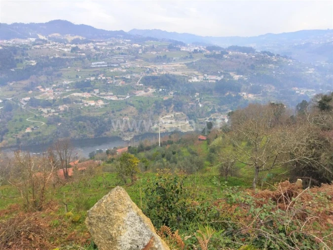 Terreno para Venda em Espadanedo Foto 3