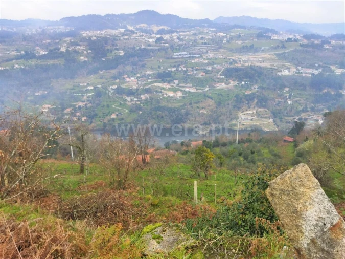Terreno para Venda em Espadanedo Foto 2