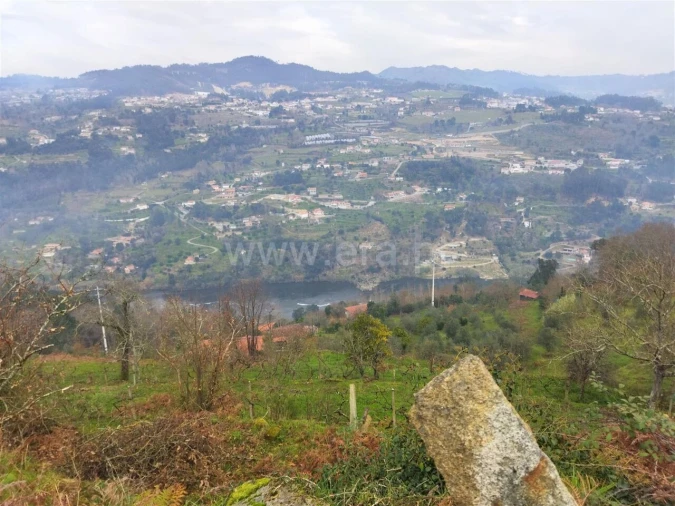Terreno para Venda em Espadanedo Foto 6