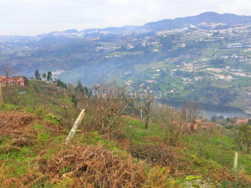 Terreno para Venda em Espadanedo Foto 4