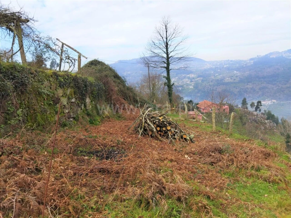 Terreno para Venda em Espadanedo Foto 8