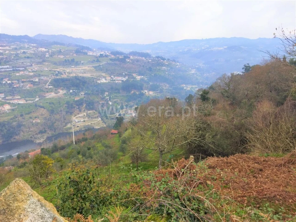 Terreno para Venda em Espadanedo Foto 7