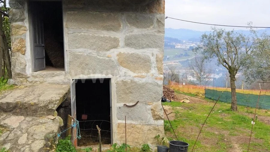 Terreno para Venda em Espadanedo