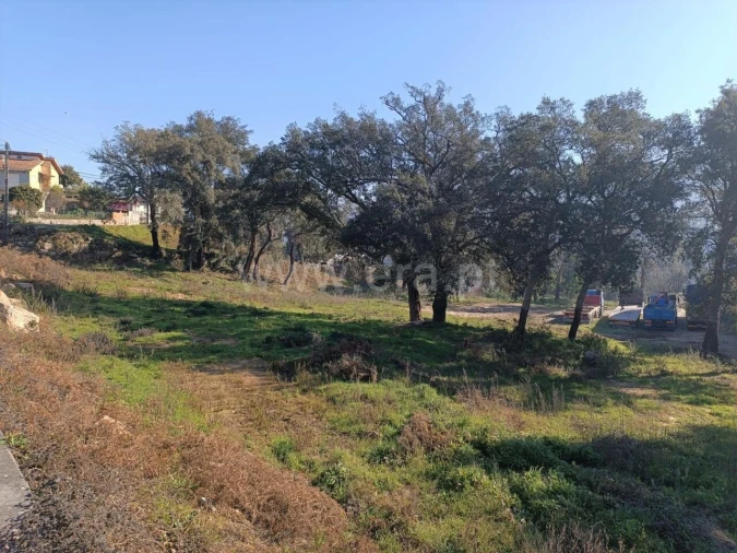 Terreno para Venda em Alpendorada, Várzea e Torrão Foto 5